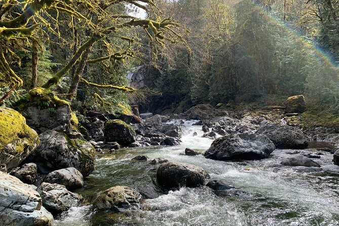Forest Hike to Gorgeous Twin and Snoqualmie Falls - Educational Experience
