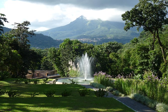 Fort De France Small-Group North Island Tour  - Martinique - Cancellation Policy and Refunds