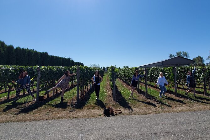 Fraser Valley Wine Tour With a Light Lunch From Vancouver - Positive Traveler Reviews