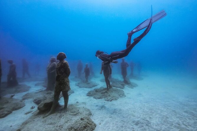 Freediving at Museum Atlantico - Planning Your Visit to Museum Atlantico