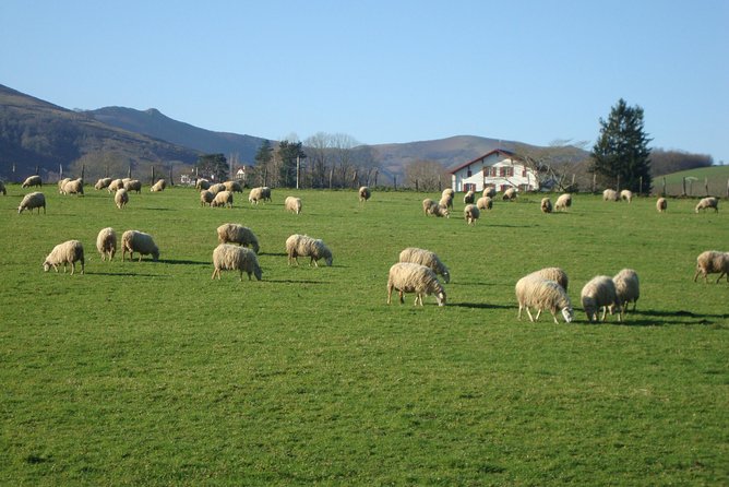French Basque Countryside Private Tour - Pricing and Booking Information