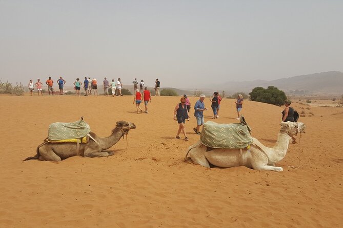 From Agadir or Taghazout: Small Desert Day Trip - Reviews