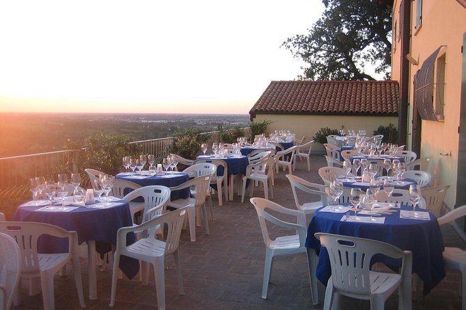 From Bologna: Wine Tasting and Vineyard Tour With the Winemaker - Wine Tasting and Food Pairing