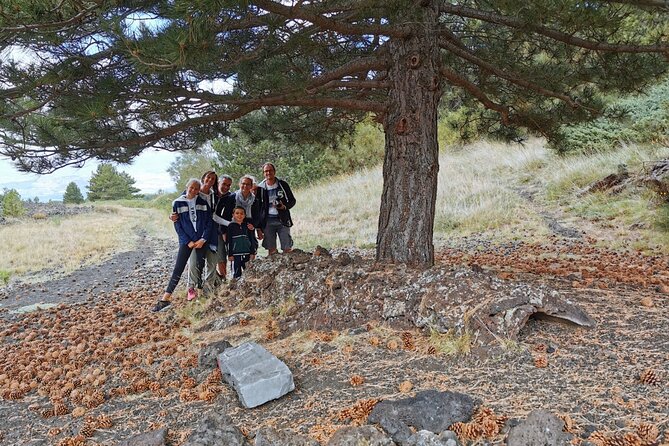 From Catania: Private Mt. Etna Trekking and Pic-Nic - Reviews