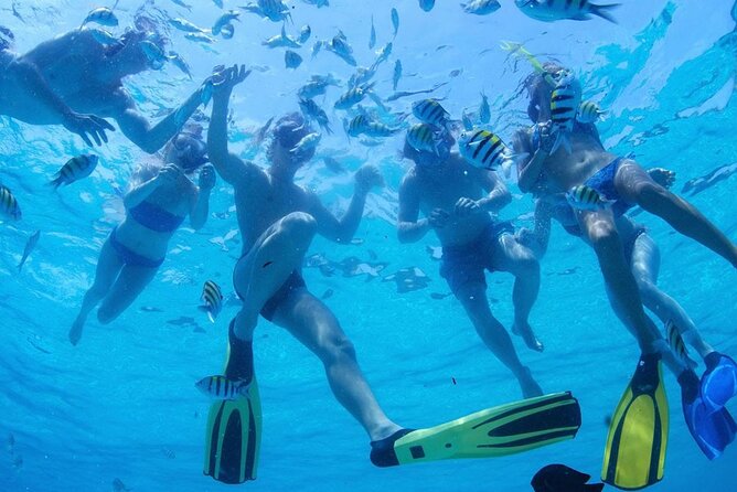 From Dubai: Snorkeling Trip in Fujairah - The Sum Up
