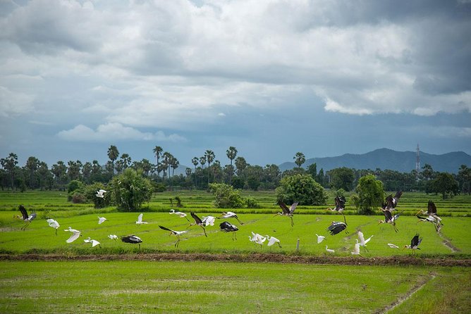 From Kanchanaburi: Thai Village Tour Half Day by Song Taew (Small Truck) - Tour Overview