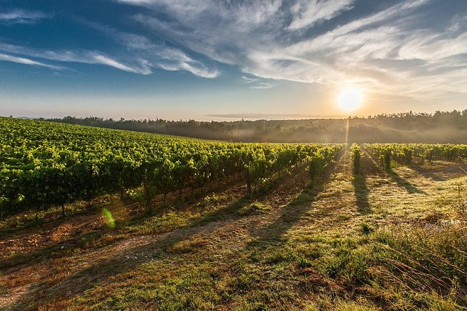 From Lake Garda: Full-Day Valpolicella Wine and Lunch Guided Trip - Return to Lake Garda