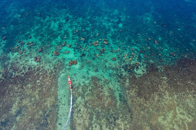 From Samui: Ko Tao and Koh Nang Yuan Speedboat Day Trip - Snorkeling and Diving Opportunities