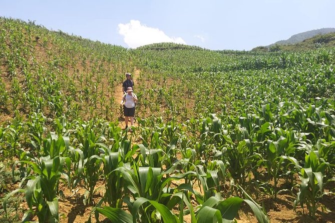 From Sapa: 2 Day Tour Through Villages and Countryside - Cultural Experiences