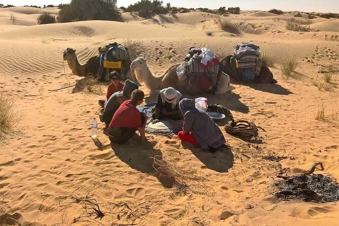 From Tozeur: 3-Day Desert Trip - Expectations and Requirements