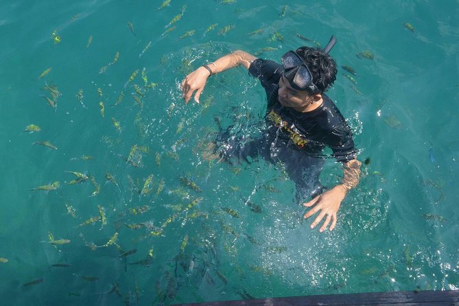 Full Day 4 Islands (Koh Ngai, Mook, Kradan,Chueak) By Speed Boat - Cancellation Policy and Reviews