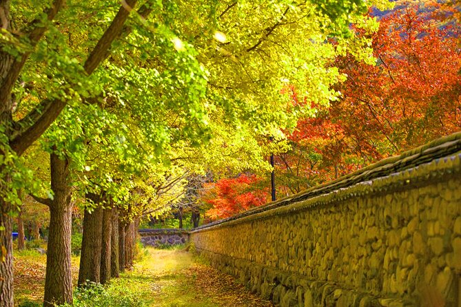 Full-Day Autumn Tour From Busan to Unmunsa Bhikkhuni Temple - Cancellation Policy