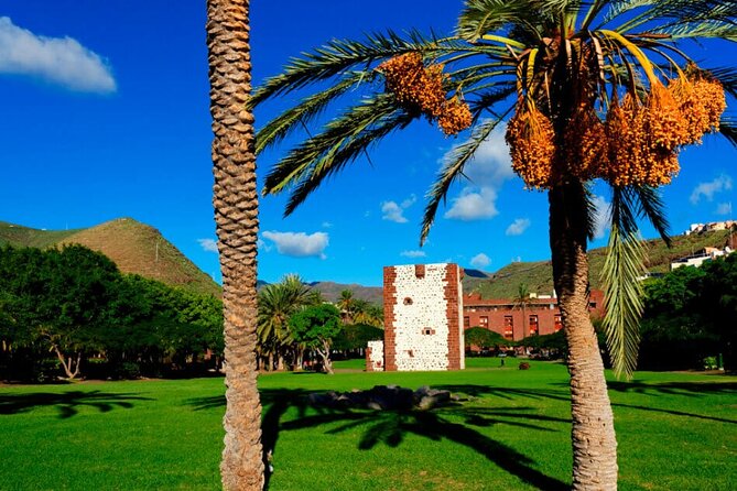 Full-Day Bus Tour to La Gomera Island With Professional Guide - Lunch Included - Inclusions and Meeting/Pickup Details