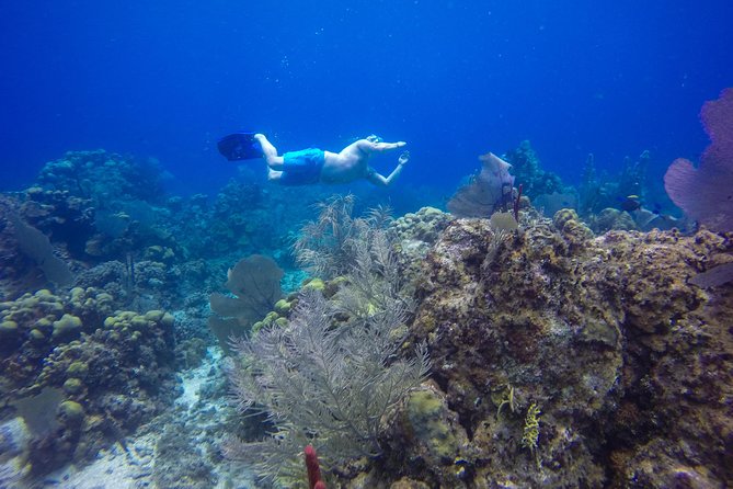 Full-Day Catalina Island Snorkeling Tour From Punta Cana - Pricing and Booking