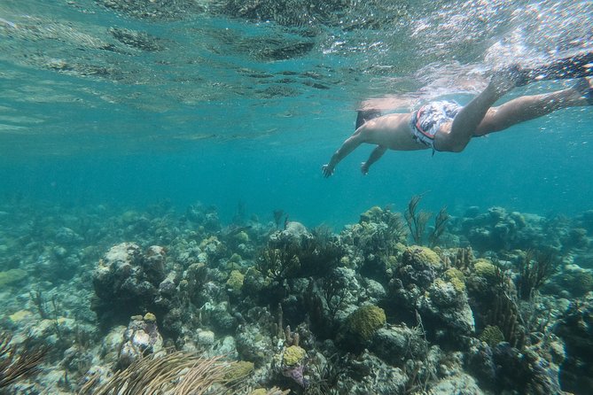 Full Day Cruise From Providenciales With Snorkeling and BBQ Lunch - Customer Reviews and Recommendations