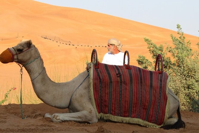 Full Day Desert Safari With Camp Access, Buffet Dinner,Camel Ride - Camel Ride