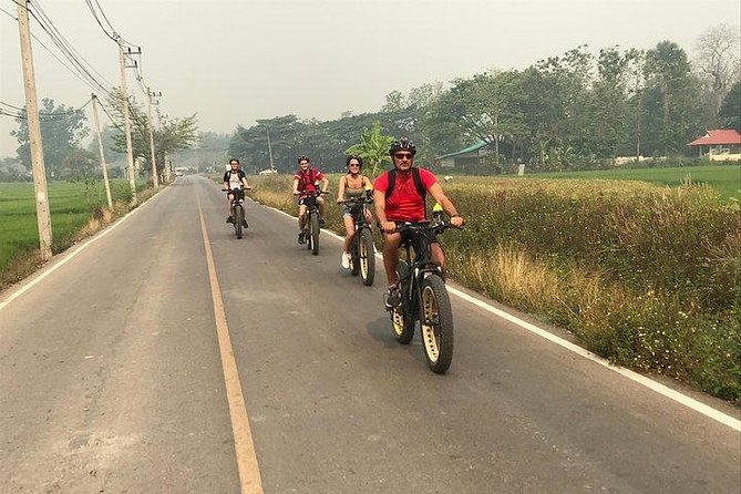 Full-Day E-Bike Adventure Ping River and Nam Phrae (Flat-Hilly, Guided) - Visiting Traditional Villages