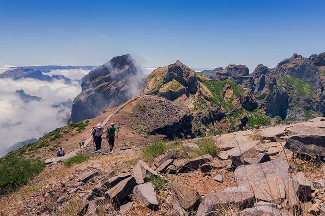 Full Day East of Madeira Tour - Booking and Pricing Information
