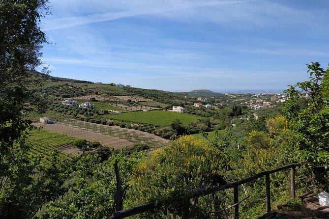 Full Day -Ecobike Discover the Real Crete & Olive Oil Factory - Additional Information