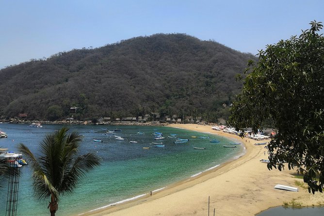 Full-Day Experience in Banderas Bay - Activities and Sights