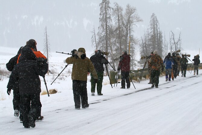 Full Day Family Friendly Private Tour at Yellowstone National Park With Lunch - Common Questions