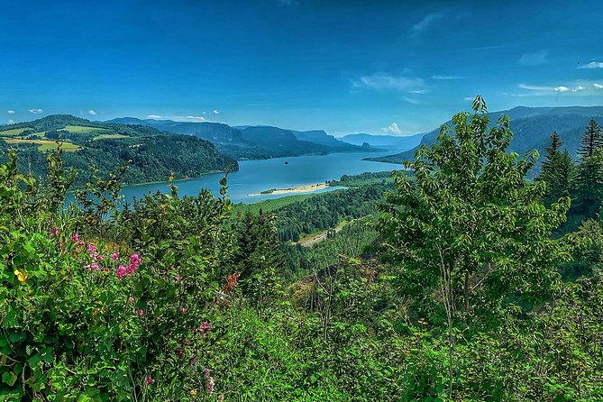 Full Day Gorge Waterfalls and Wine (Tasting Fees Included) - Reviews and Testimonials