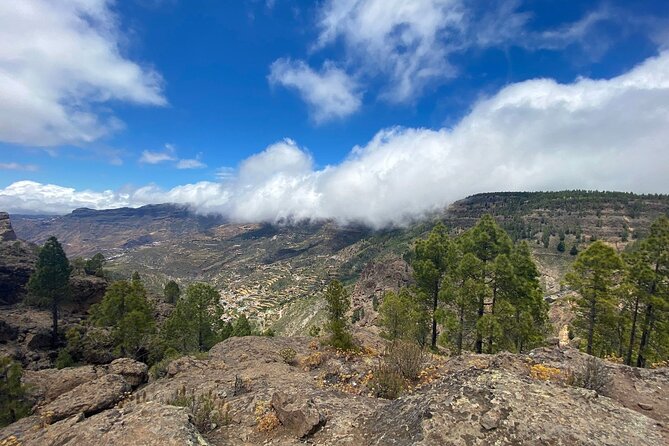 Full-Day Gran Canaria Tour With Teror, Tejeda and Lunch in Fataga - Reviews