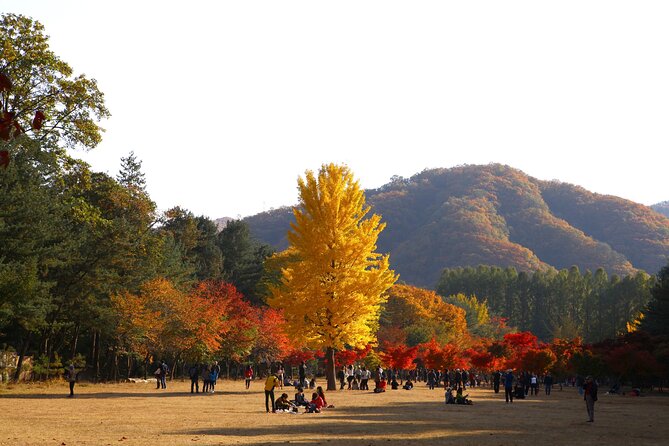 Full-day Guided Exploration in Nami Island and Gangwon-do - Questions and Terms