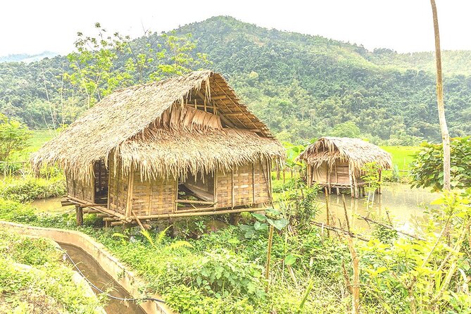Full-day Guided Motorbike Tour in Pu Long Nature Reserve - Common Questions