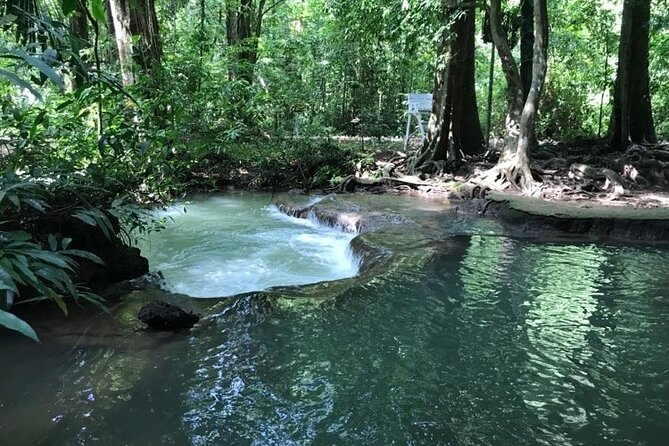 Full Day Guided Tour in Bor Thor Caves and Mangroves - Mangrove Adventure