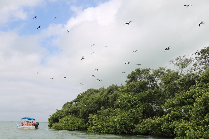 Full Day Guided Tour to Sian Kaan (Short Way) - Options for Poor Weather or Insufficient Travelers