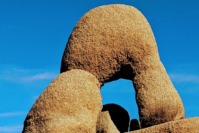 Full Day Hike in Joshua Tree National Park - Physical Requirements and Accessibility