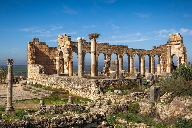 Full-day Historical Meknes Volubilis and Moulay Idriss Tour - Pricing and Booking Information