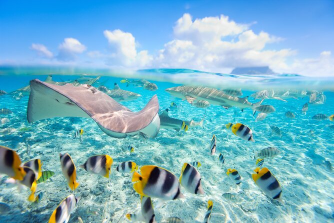 Full Day Lagoon Group Tour in Bora Bora With Lunch - Additional Information