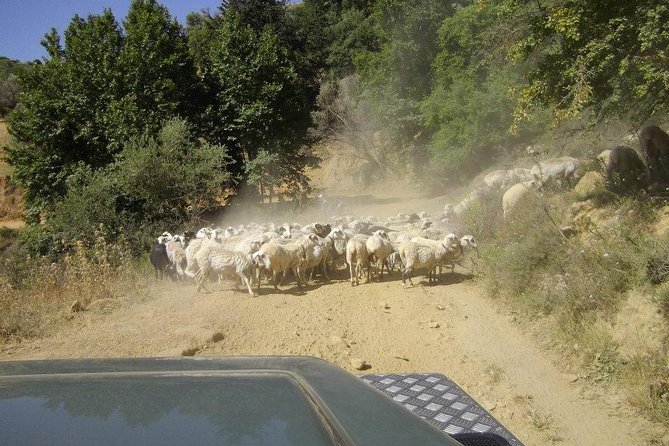 Full-Day Land Rover Safari From Heraklion With Lunch - Mythological Dikteon Cave