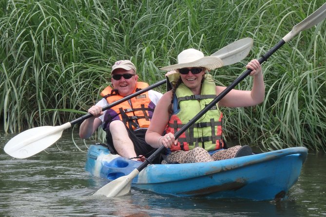 Full-Day Leisure River Kayaking Into Mae Taeng Forest Reserve From Chiang Mai - What To Expect