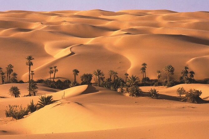 Full Day LIWA 4x4 Safari With Lunch Included From Abu Dhabi - Reviews and Testimonials for LIWA 4x4 Safari