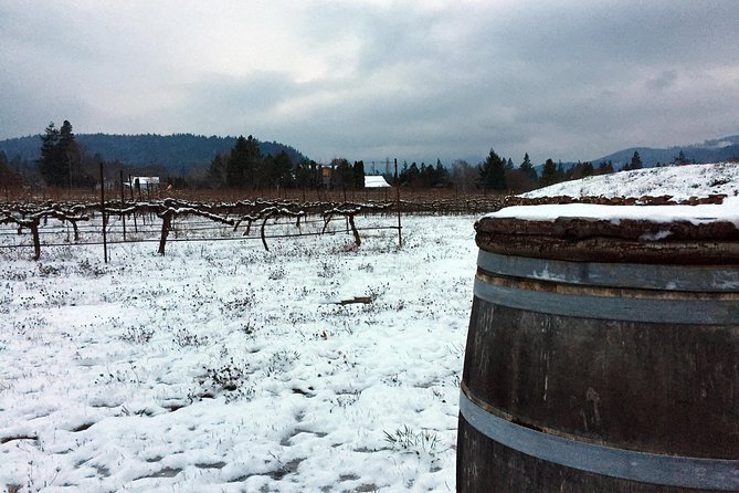 Full-Day Mt Hood Waterfall Tour With Lunch and Wine Tasting - Positive Reviews