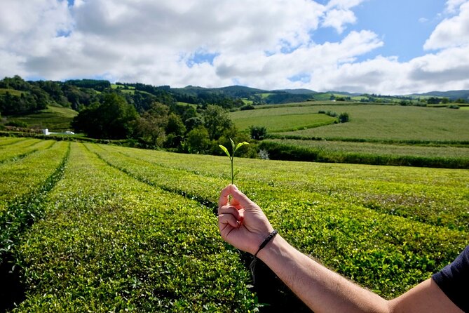Full Day Outdoor Furnas Valley With Traditional Lunch (East Tour) - Common Questions