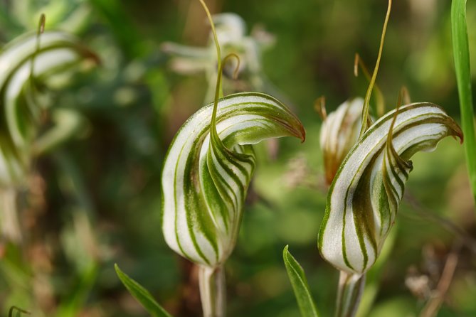 Full-Day Perth Flower Photography Excursion - Cancellation Policy