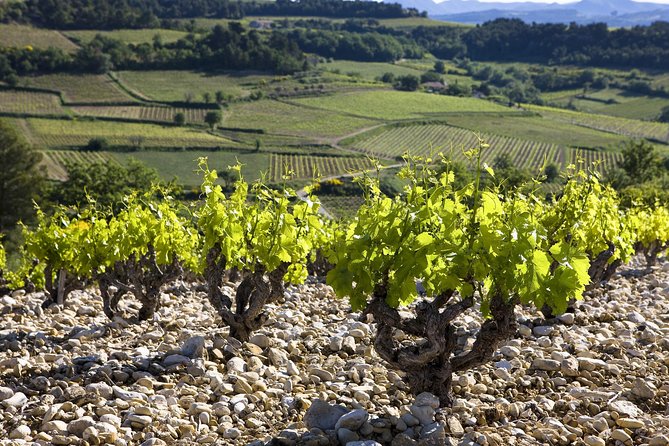 Full Day Pont Du Gard, Orange Theatre, Wine Tour From Avignon - Meeting and Pickup
