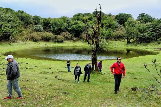 Full Day Private 4x4 Tour in West Madeira With Local Guide - Additional Information