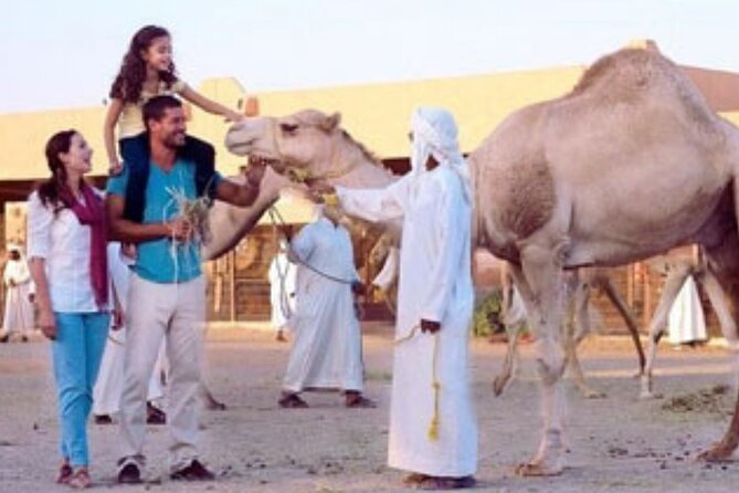 Full Day Private Al Ain City Tour With Lunch From Abu Dhabi - Transportation Details