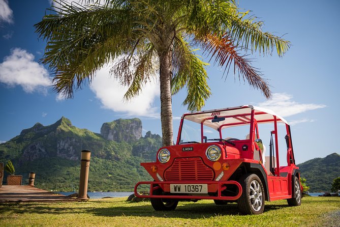 Full-Day Private Bora Bora Electric E-Moke Rental - Overview of the Experience