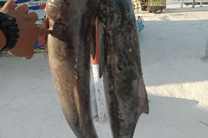 Full Day Private Deep Sea Fishing in Holbox - Contact and Pricing Information