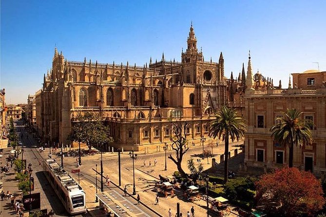 Full-Day Private Guided Cultural Tour of Seville From Granada - Immersive Local Experience