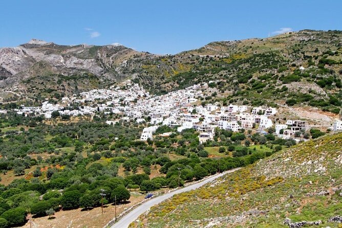 Full-Day Private Highlights Tour in Naxos Island - Questions and Help