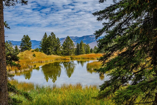 Full-Day Private Hike in Yellowstone National Park - What to Expect