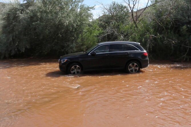 Full-Day Private Off-Road Tour in Capitol Reef National Park - Reviews