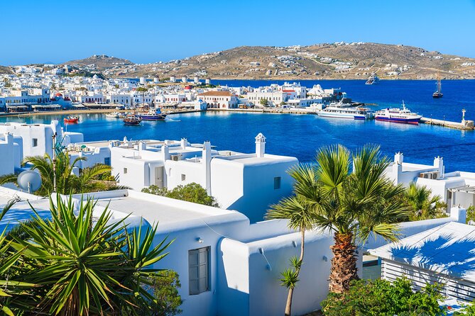 Full Day Private Shore Tour in Mykonos From Mykonos Cruise Port - Cancellation Policy